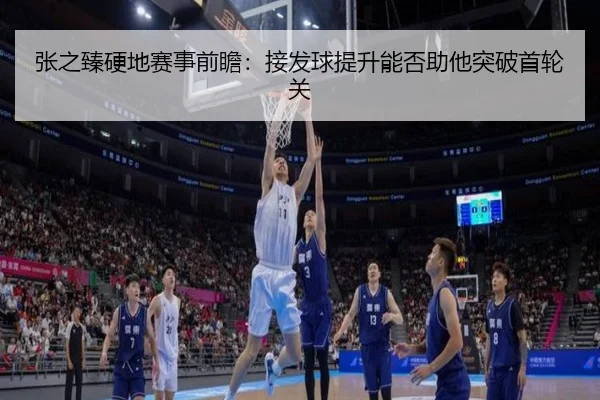 张之臻硬地赛事前瞻：接发球提升能否助他突破首轮关